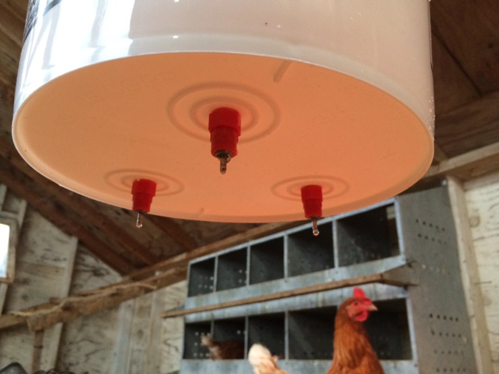 5 Gallon Nipple&nbsp;Water